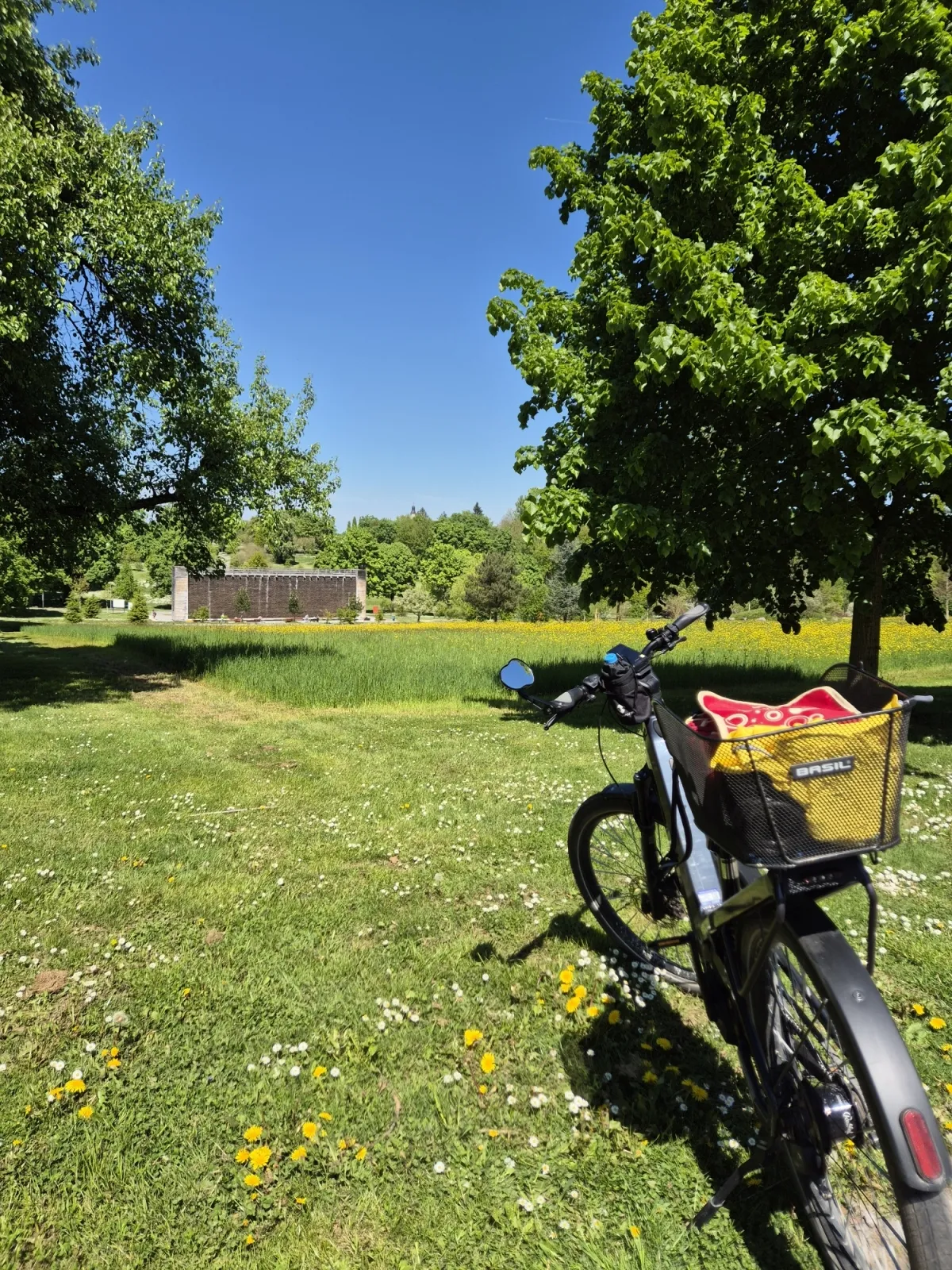 Stadtradeln Bad Rappenau (Bild: privat)