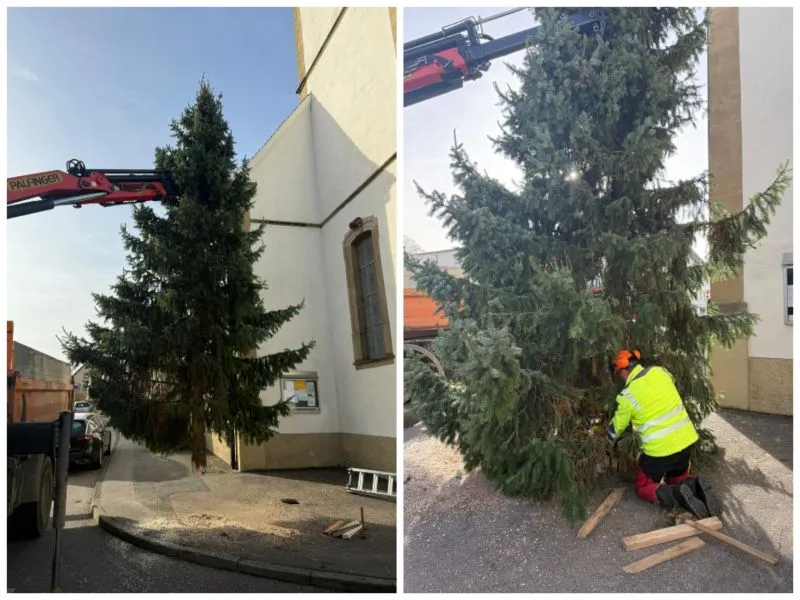 Ein Weihnachtsbaum wird vom Bauhof in einem Ortsteil aufgestellt
