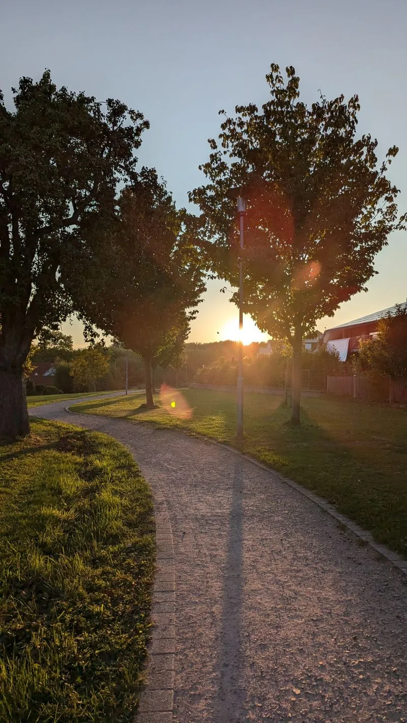 Bild: Bäume in Bad Rappenau (Foto: Bernd Fritsch)