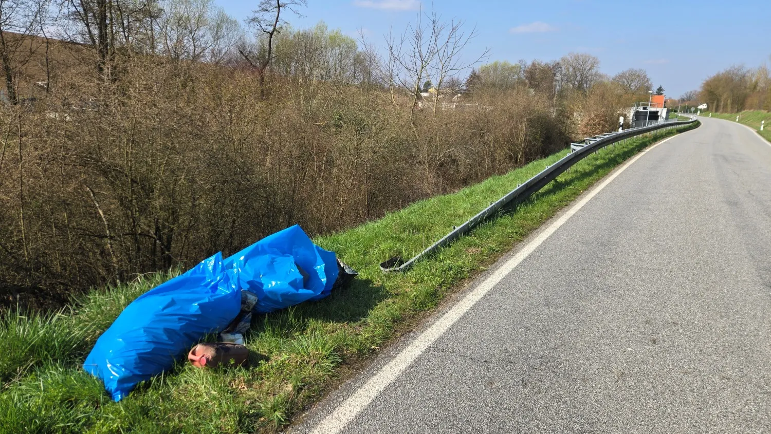 Private Müllsammelaktion an der Straße Bonfeld - Biberach (Bild: privat)
