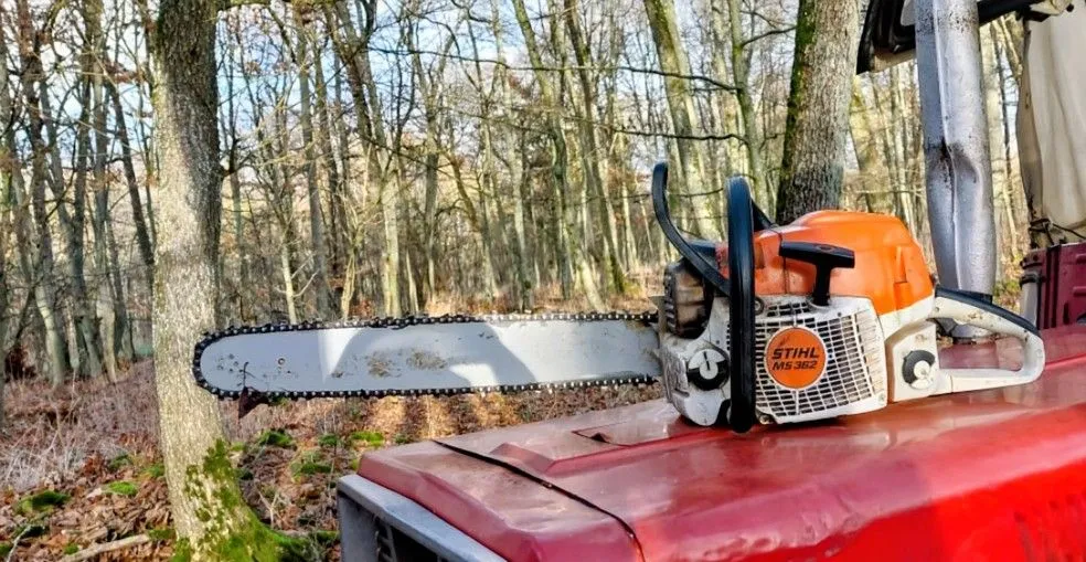 Motorsägenlehrgang in Bad Rappenau (Bild: privat)