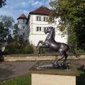 Stadtführung-Wasserschloss mit Pferd.JPG