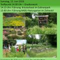 Plakat_Gartenbau-Und Wildkräuter Führung im NABU-Naturgarten.jpg