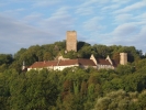 Heinsheim Tag Burg Ehrenberg