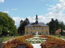 Feuerbeet Sommer Salinenpark